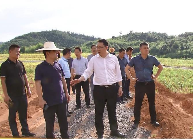 陈远督导突出生态环境问题整改落实情况