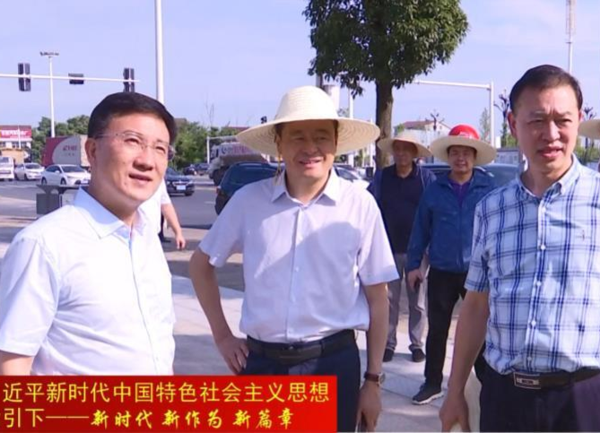 朱金平调度杨家港善卷纪念公园和阳明湖公园开园工作