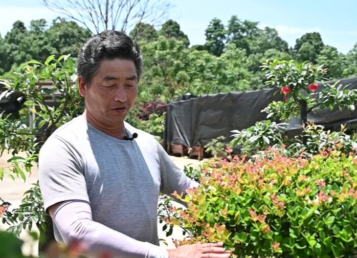 石板滩镇：根植红色热土 重振花木产业
