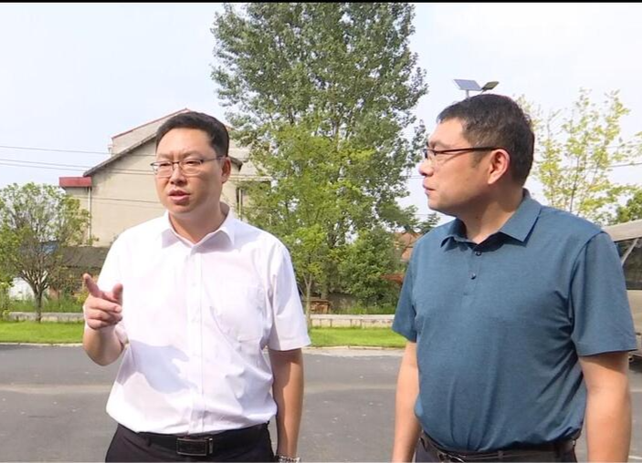 陈远调度省级例行督察违法用地整改工作