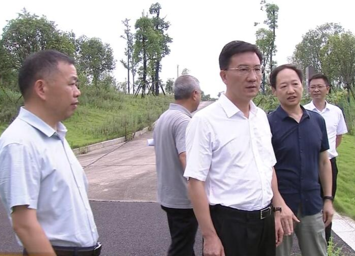 朱金平到蔡家岗镇督导检查防溺水等工作