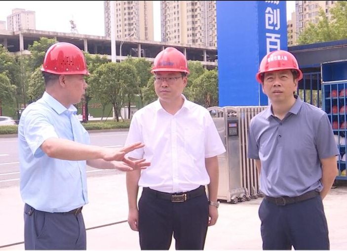 陈远督导国卫复审迎检工作