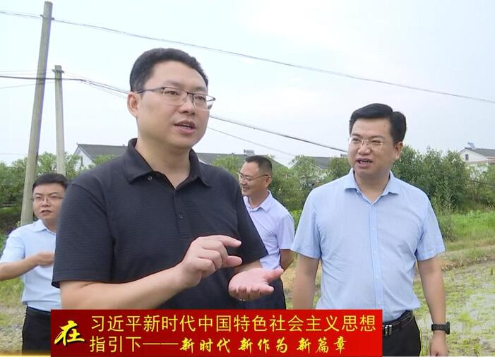 陈远到许家桥回维乡开展调研