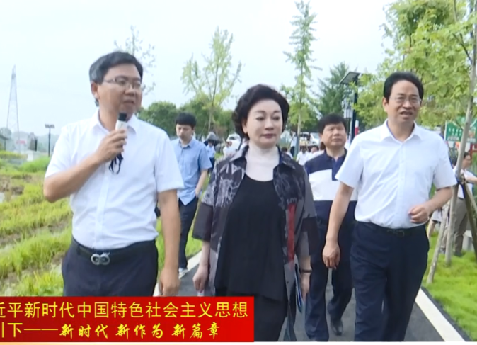 市政协主席会议视察鼎城乡村振兴工作