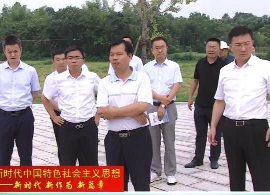 国务院发展研究中心调研组来鼎城调研