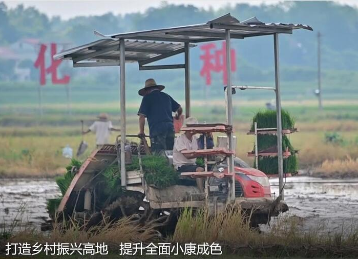 【鼎城这五年】打造乡村振兴高地  提升全面小康成色