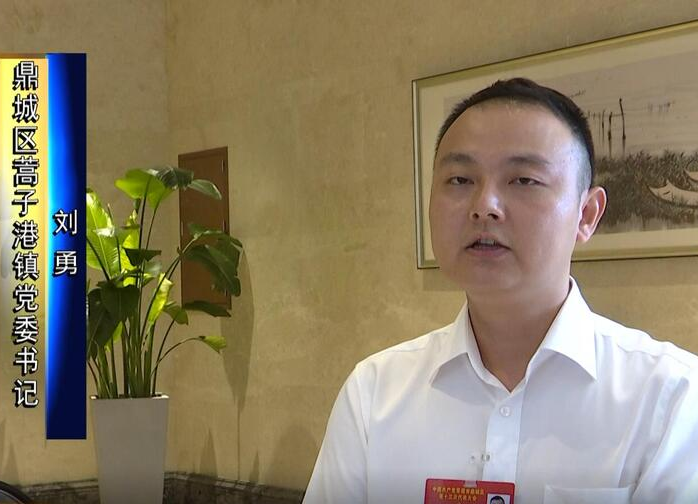 【贯彻落实党代会精神】共绘“打造现代江南 建设幸福鼎城”蓝图