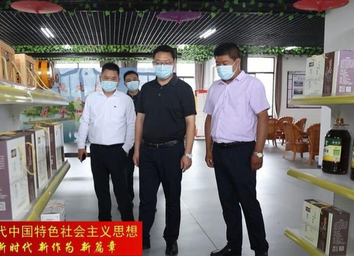 陈远到十美堂镇调研乡村振兴和鸟儿洲申报国家重要湿地工作