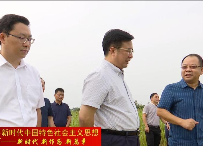 邹文辉到石板滩关闭石煤矿区督导检查生态修复工作