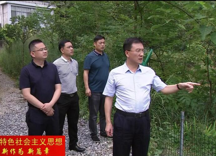 朱金平调研石板滩关闭石煤矿区生态修复工作