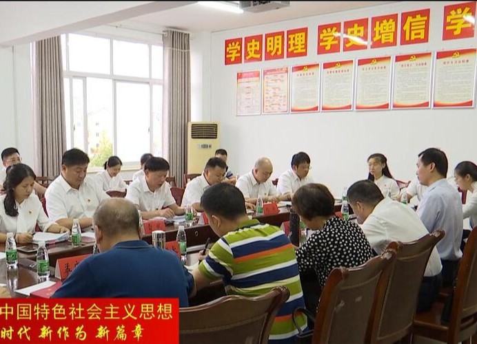 党史学习教育市委巡回指导组第一组指导鼎城区财政局机关二支部专题组织生活会