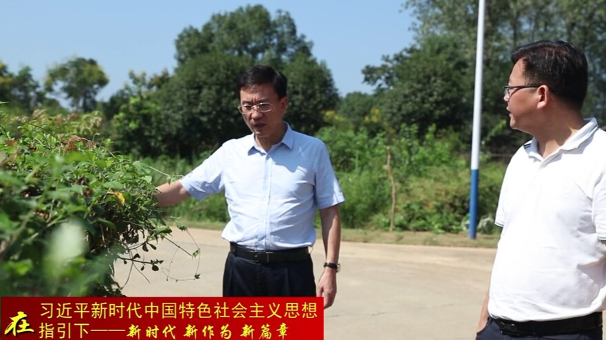 朱金平到谢家铺镇调研乡村振兴工作