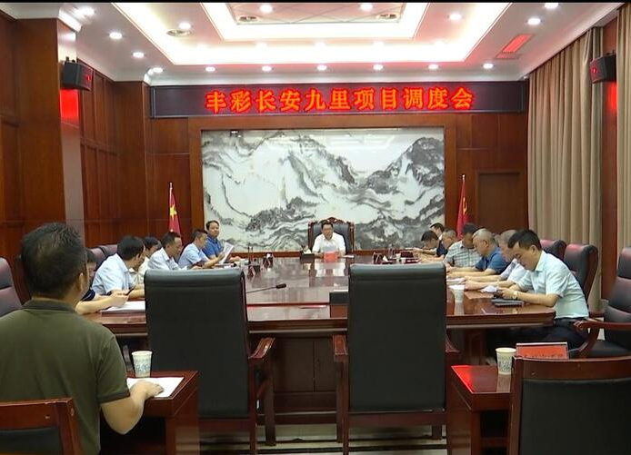 陈远专题调度丰彩·长安九里项目建设工作