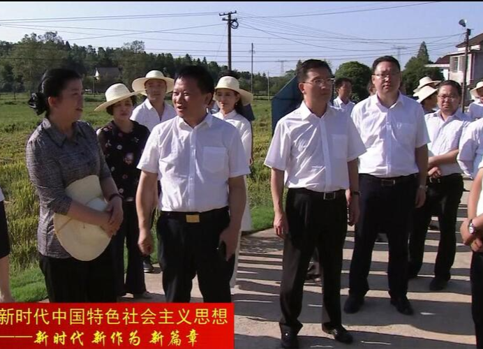鼎城：举行人大代表实践站流动观摩会 展示代表助力乡村振兴成果