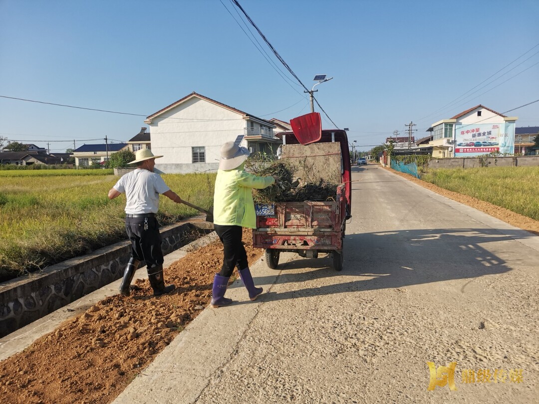 斗姆湖街道：环境整治和道路扫障