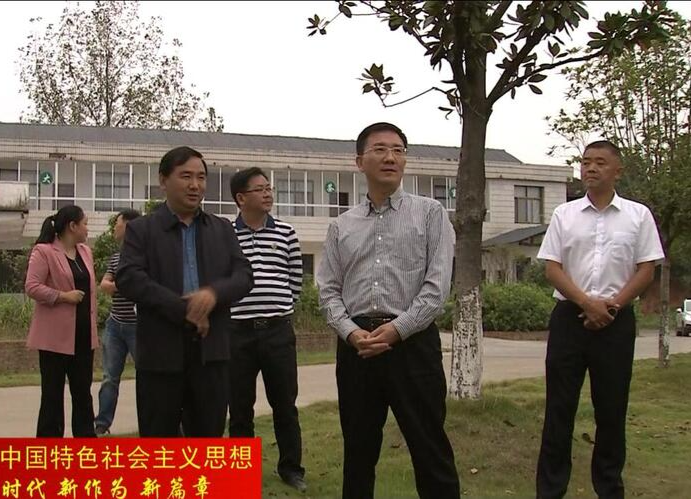 朱金平到蔡家岗镇、灌溪镇调研乡村振兴、产业发展等工作