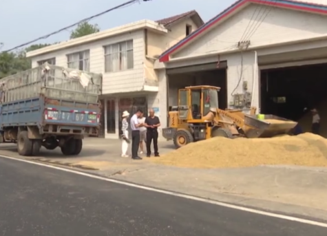 鼎城区斗姆湖街道：建设美丽乡村路 增添乡村新活力