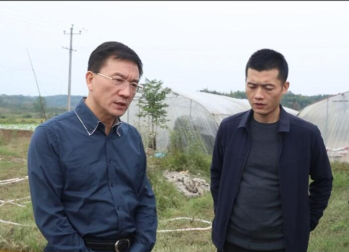 朱金平到尧天坪镇调研指导乡村振兴工作