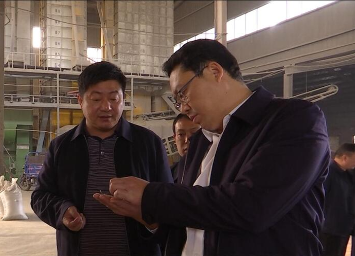 陈远调研中晚稻收购工作