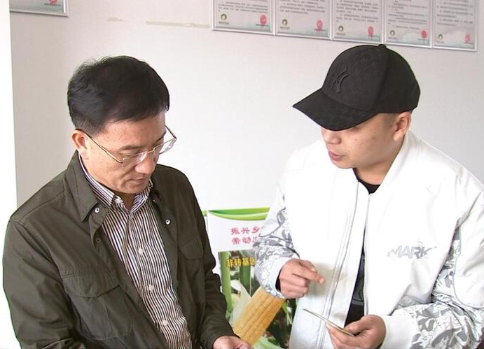 朱金平到镇德桥镇调研乡村振兴工作