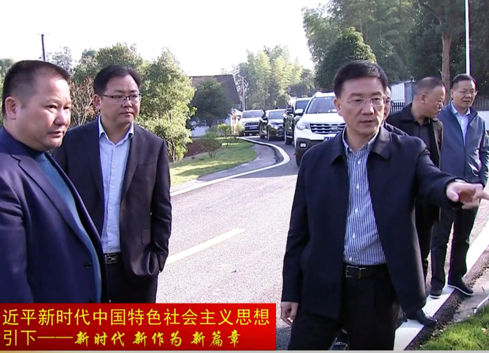 朱金平调研指导谢家铺乡村振兴示范带建设工作