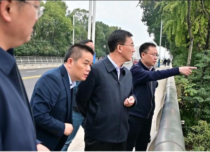 朱金平调研武陵大桥恢复通车及周边环境整治情况