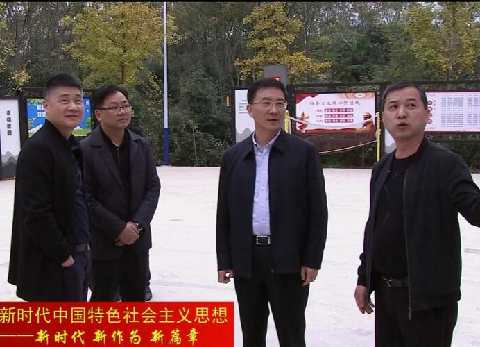 朱金平到双桥坪镇和石板滩镇调研乡村振兴工作