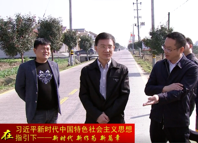 朱金平深入后河片区部分乡镇调研乡村振兴工作