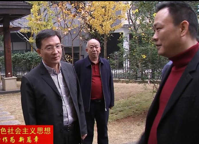 朱金平：以点带面 推动江南城区美丽小区建设