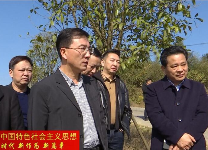 朱金平现场督导非法挖砂取土整治工作