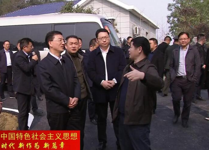 鼎城：组织召开乡村振兴现场会 幸福的景色美不胜收