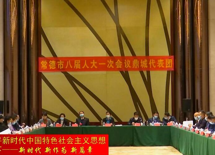 市八届人大一次会议鼎城代表团开展分团审议