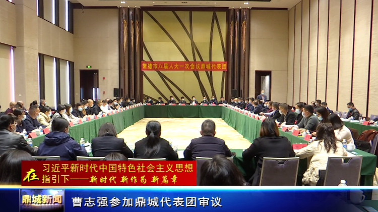 曹志强参加市八届人大一次会议鼎城代表团审议