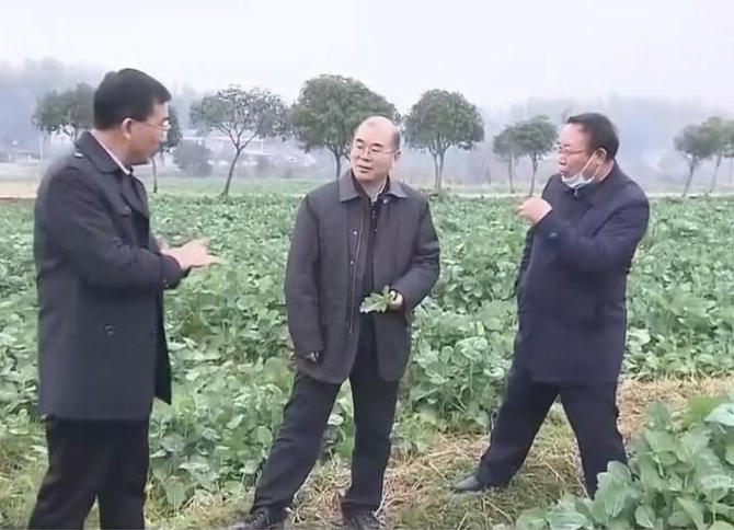 朱国贤在常德益阳调研时强调 扎实做好“三农”工作 加快推进农业农村现代化