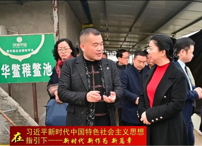余怀民来鼎城调研甲鱼产业发展