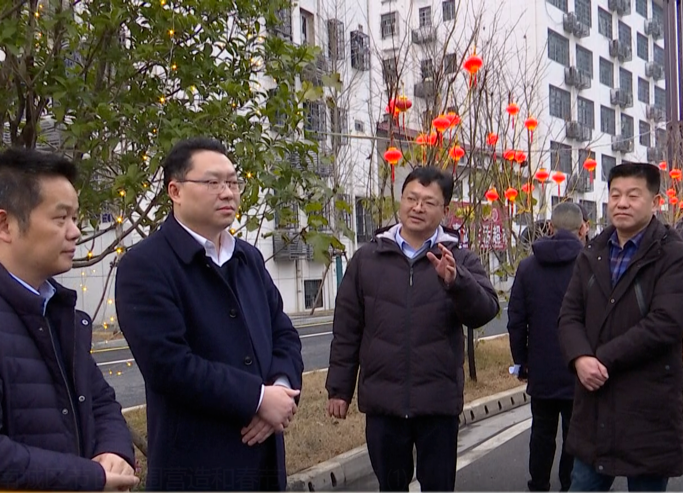 陈远视察江南城区节日氛围营造和春节亮化工作