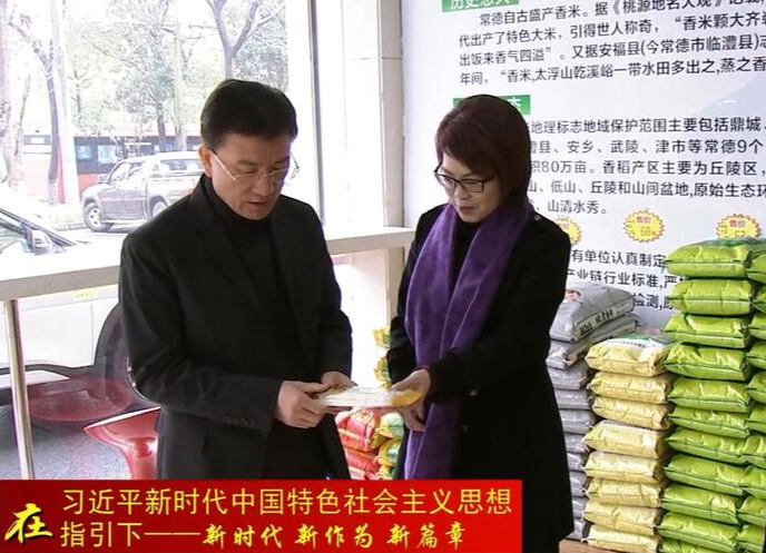 朱金平深入部分企业开展新春走访调研