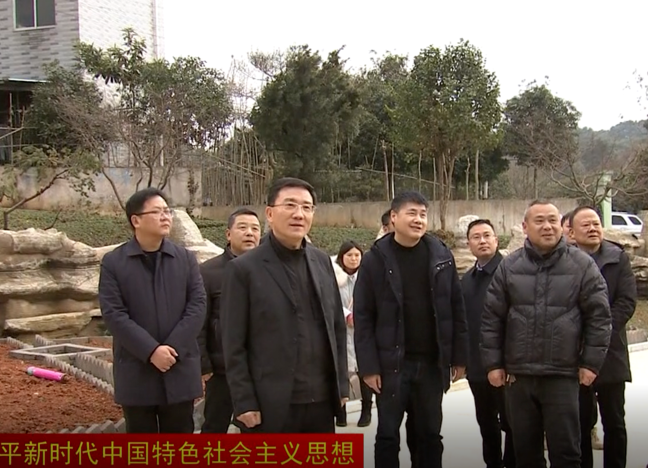朱金平调研关闭石煤矿区生态修复和幸福屋场建设工作