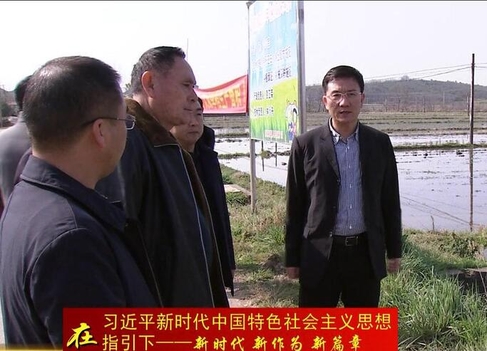 朱金平：以高标准示范片建设为抓手 完成春耕生产各项工作