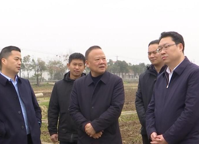 陈远到韩公渡镇督导春耕生产工作