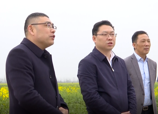 陈远到十美堂镇督导油菜花节筹备等工作