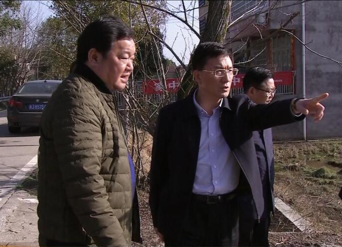 朱金平到部分乡镇调研春耕生产及乡村振兴工作
