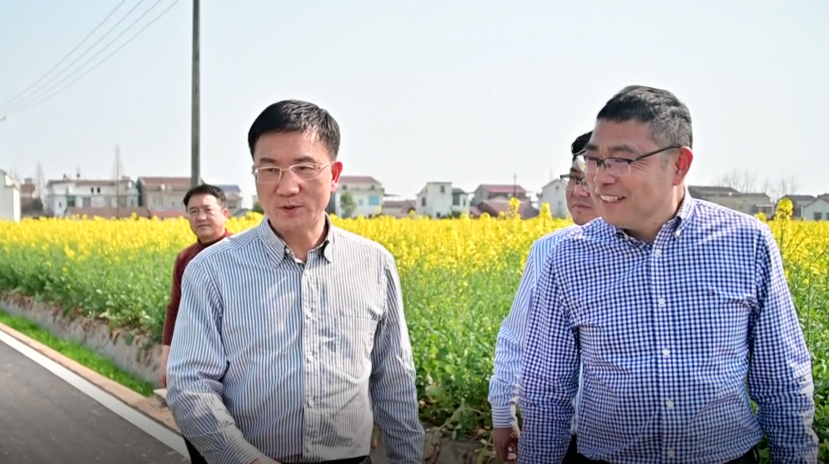 朱金平到十美堂镇督导油菜花节筹备等工作