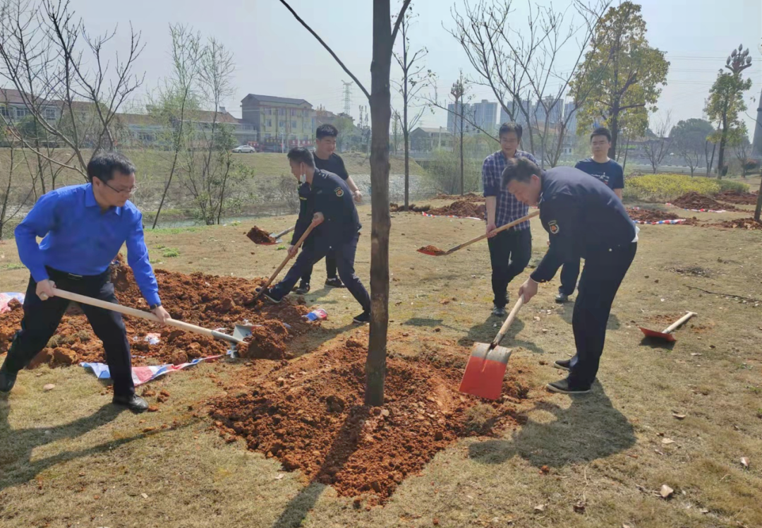 早春三月好时光，高新城管植树忙