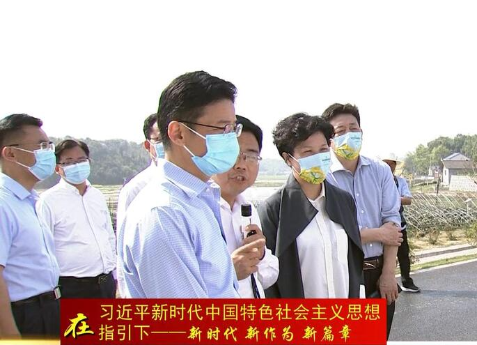 张迎春来鼎城调研乡村振兴、粮食生产等工作
