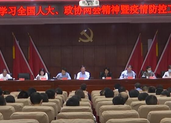 鼎城：传达学习全国人大、政协两会精神 部署疫情防控工作