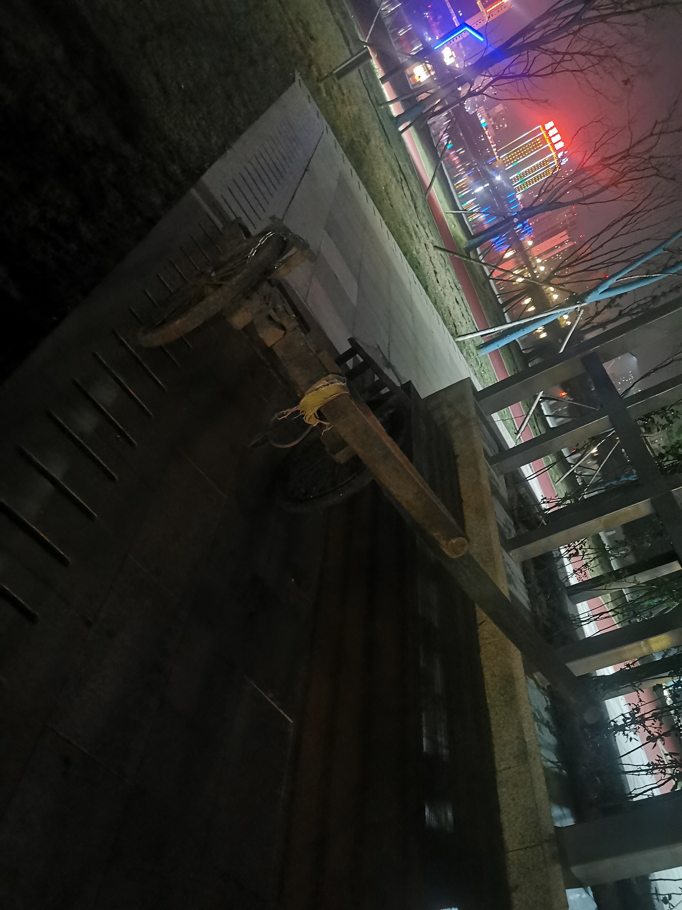 鼎城区阳明湖公园晚上经常有人划船捕鱼
