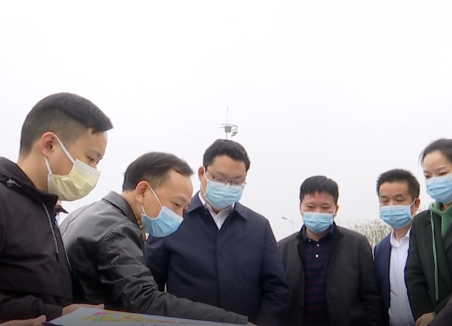 陈远调研江南城区重点项目建设