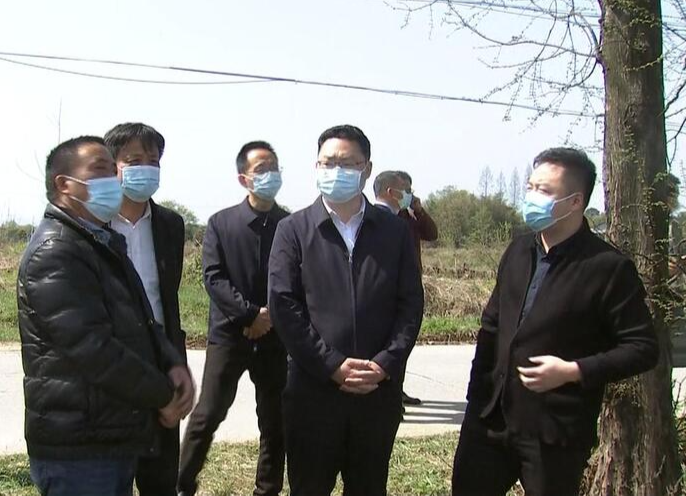 陈远督导前河片区部分乡镇粮食生产工作