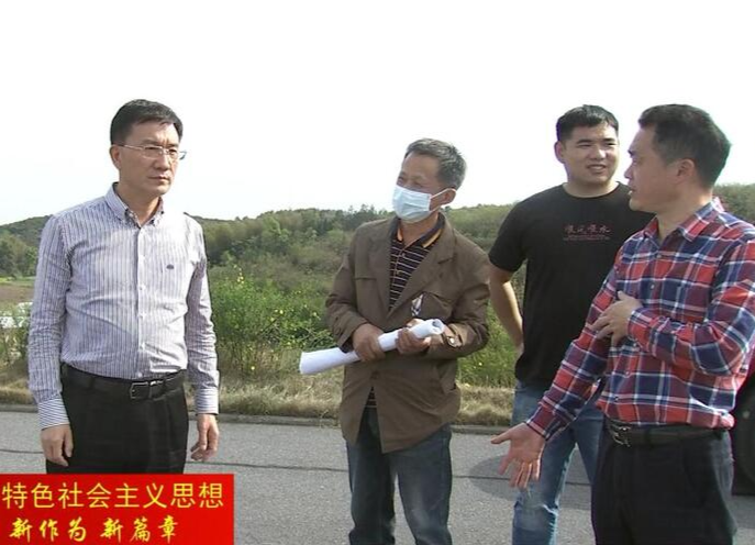 朱金平调研粮食生产、春耕用水保障等工作